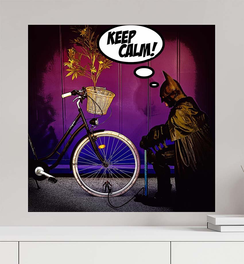 BatCycle - Art of Austria