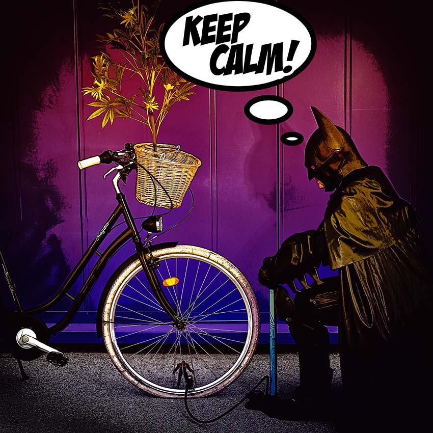 BatCycle - Art of Austria